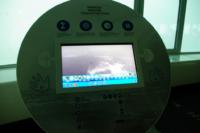 36069