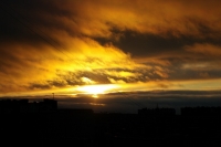 IMGP9751