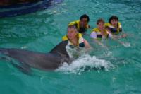 40082