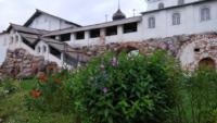 45074