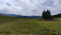 60077